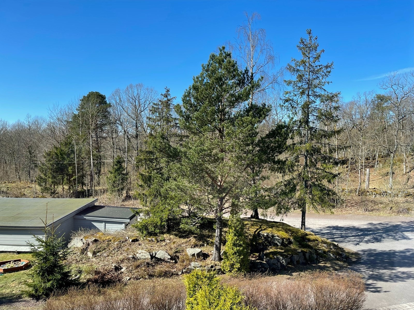 En av dine nærmeste naboer er skogen, noe som kommer godt med for den turglade! Galleribilde