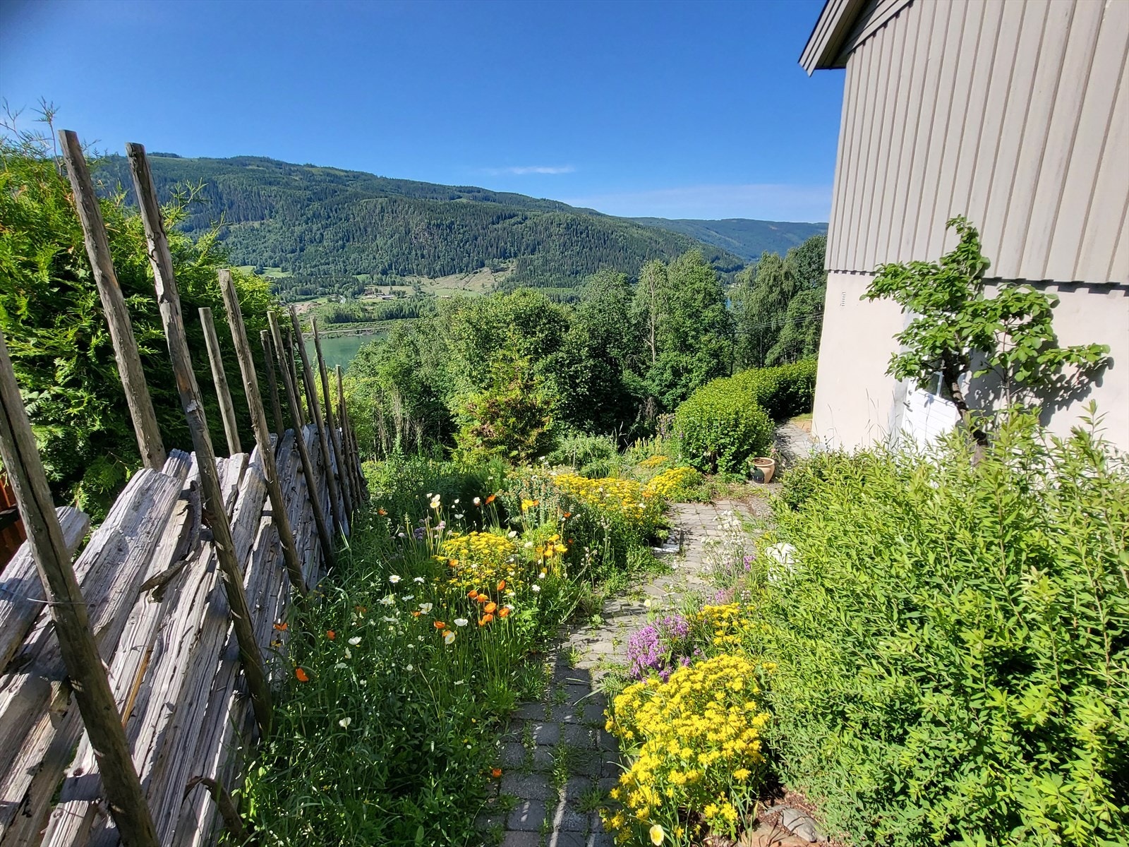 Selgers bilde - Tomten er pent opparbeidet med diverse beplantning Galleribilde
