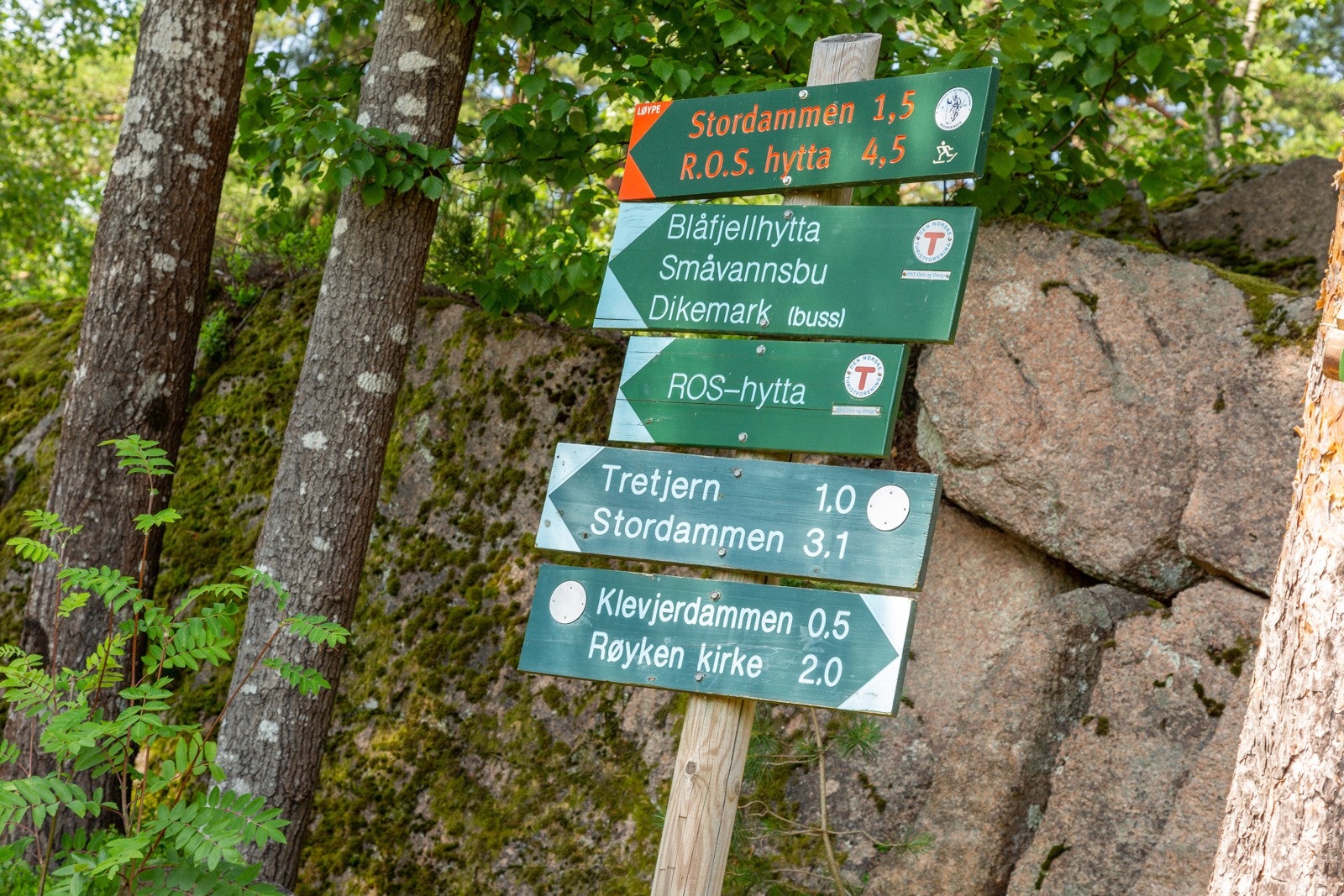 Eiendommen er omkranset av flott turterreng Galleribilde