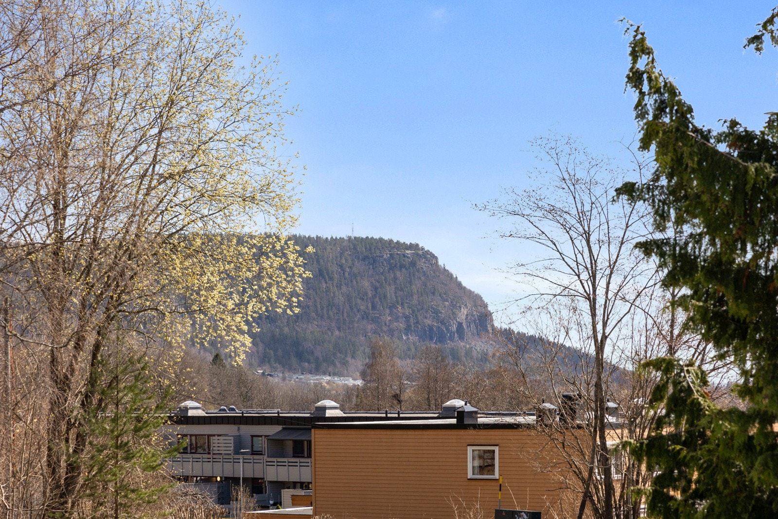 Utsikt mot Kolsåstoppen Galleribilde