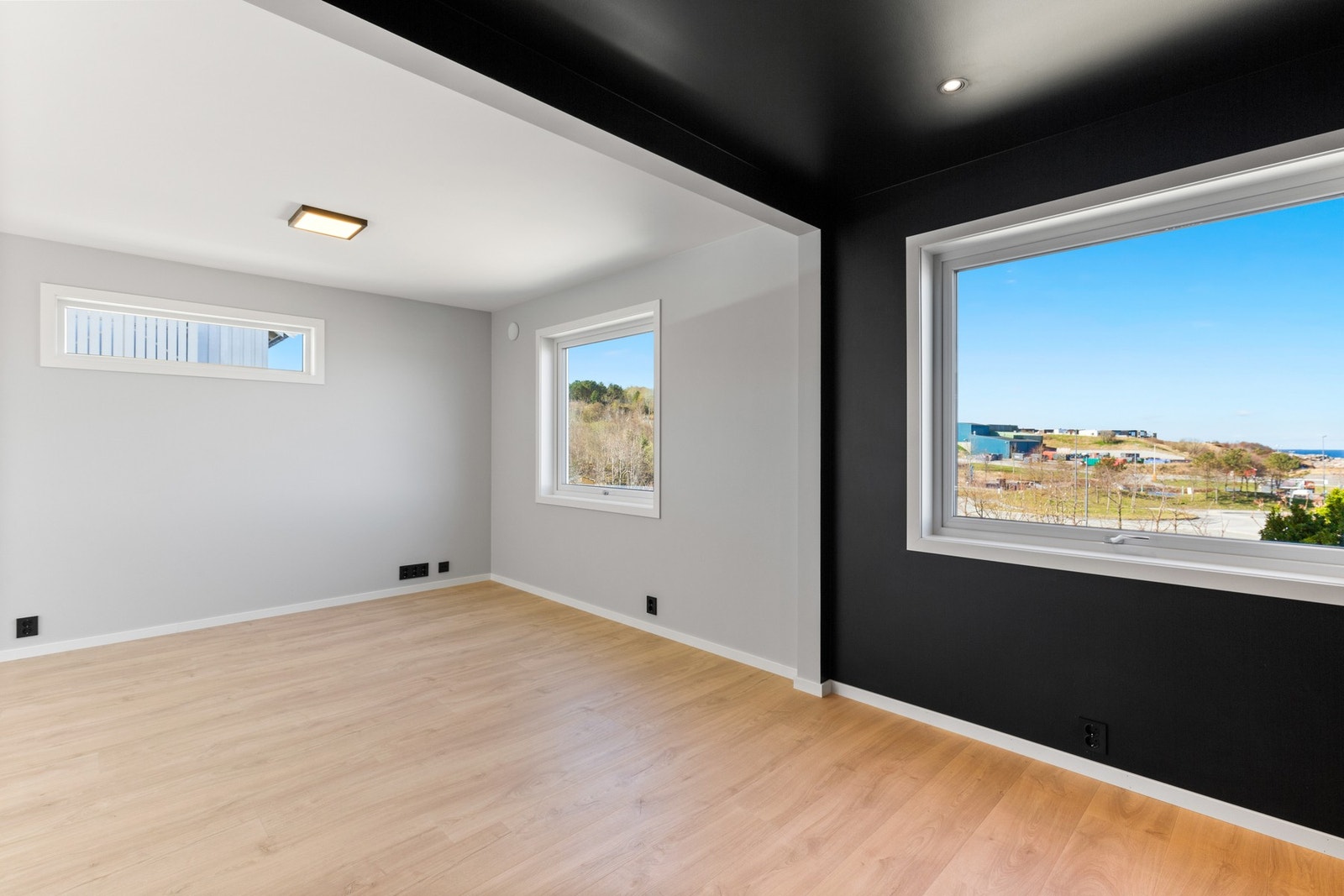 Stue / spisestue Galleribilde