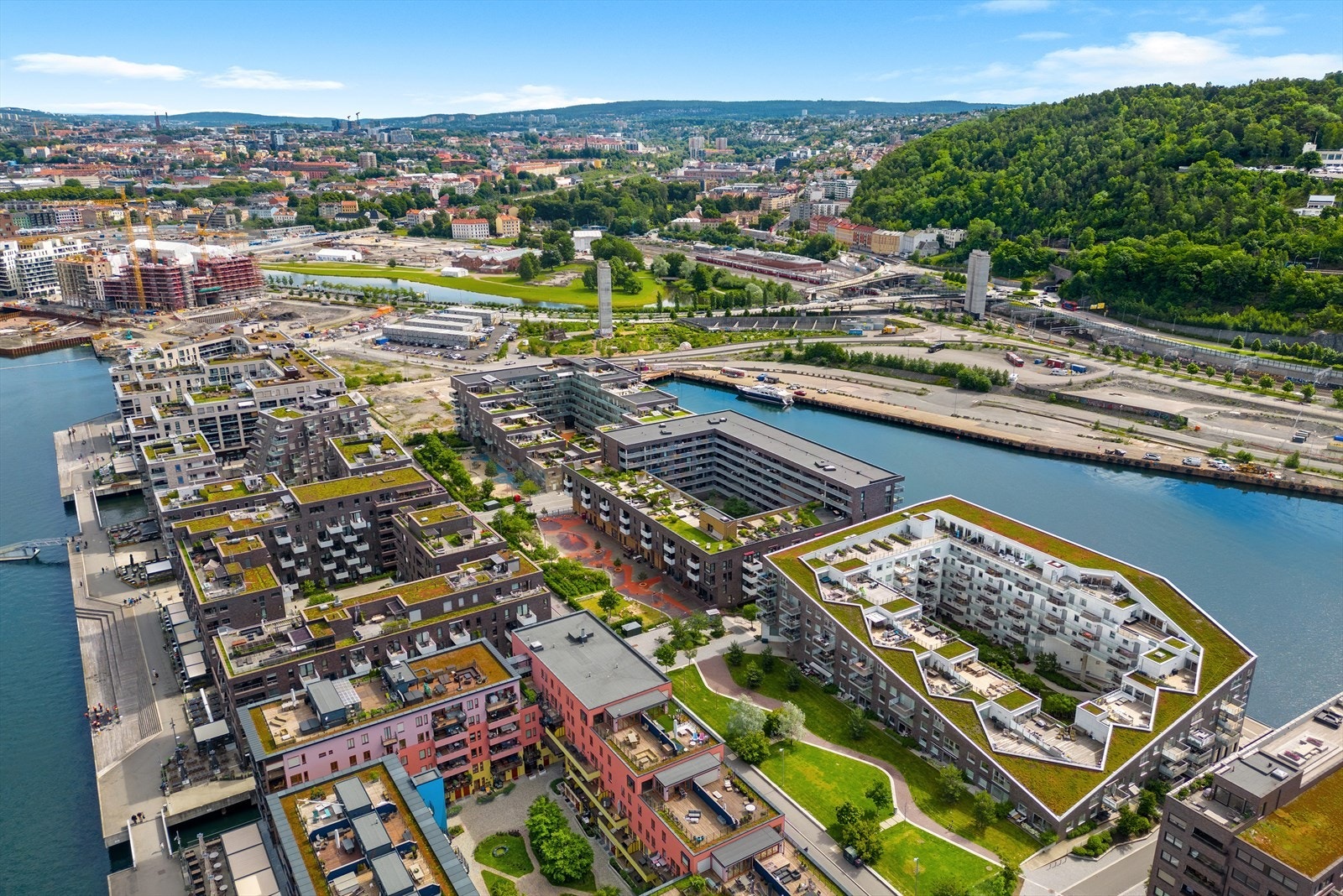 xSorenga vivid.jpg Galleribilde