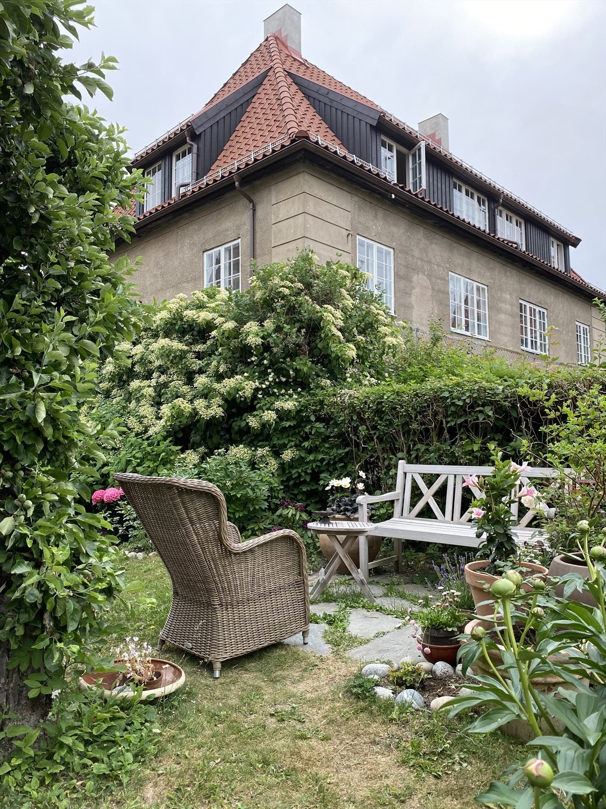 Selgers egne sommerbilder. Galleribilde