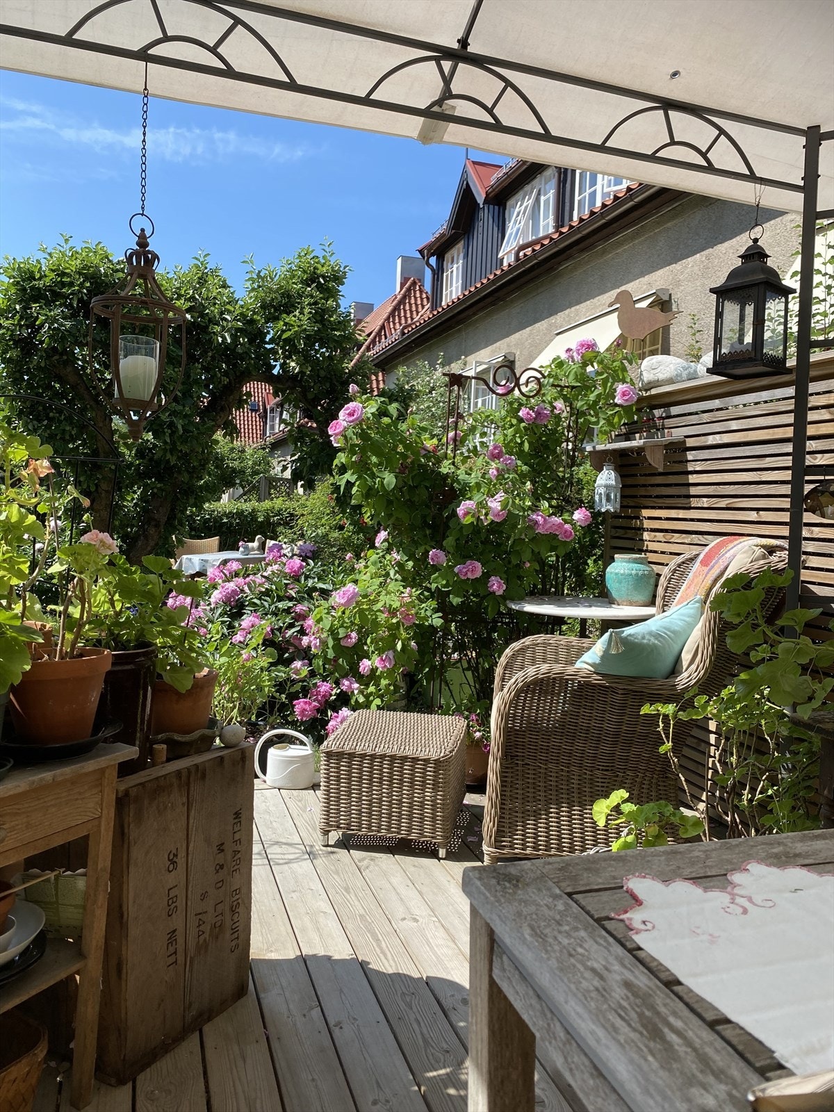 Selgers egne sommerbilder. Galleribilde