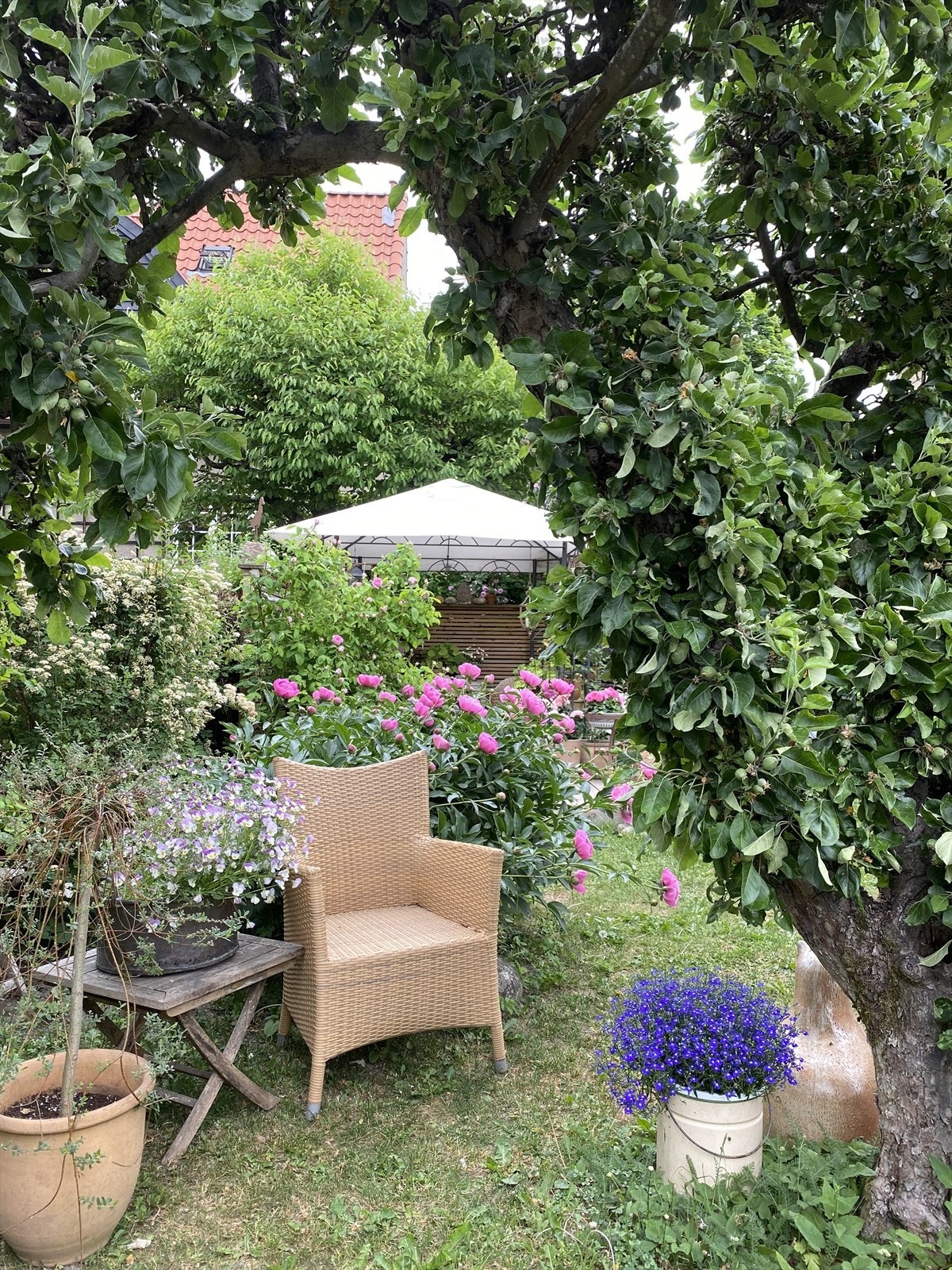 Selgers egne sommerbilder. Galleribilde