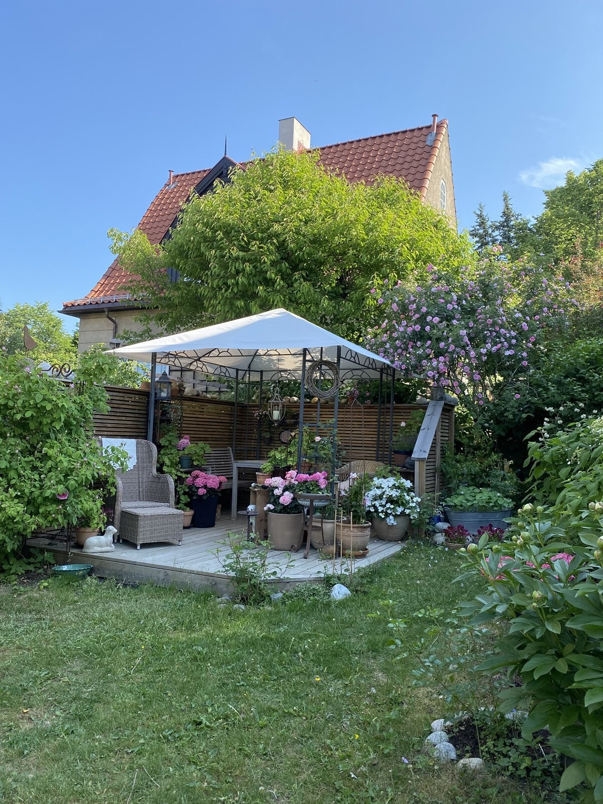 Selgers egne sommerbilder. Galleribilde