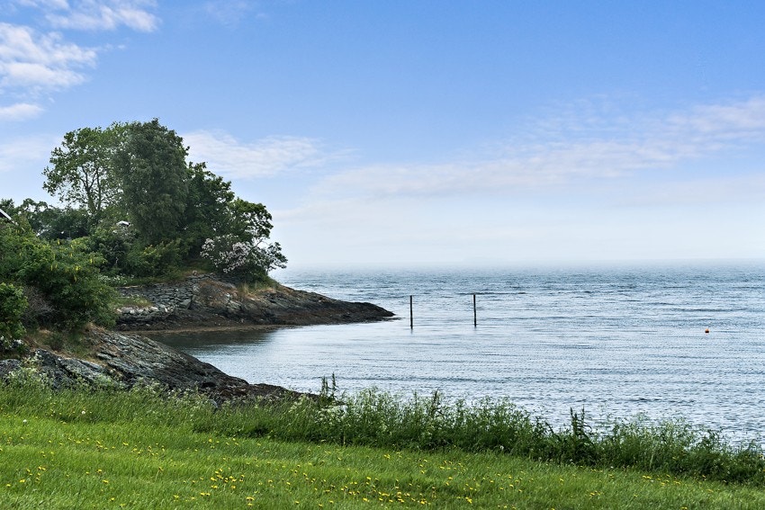 Velkommen til visning! Galleribilde