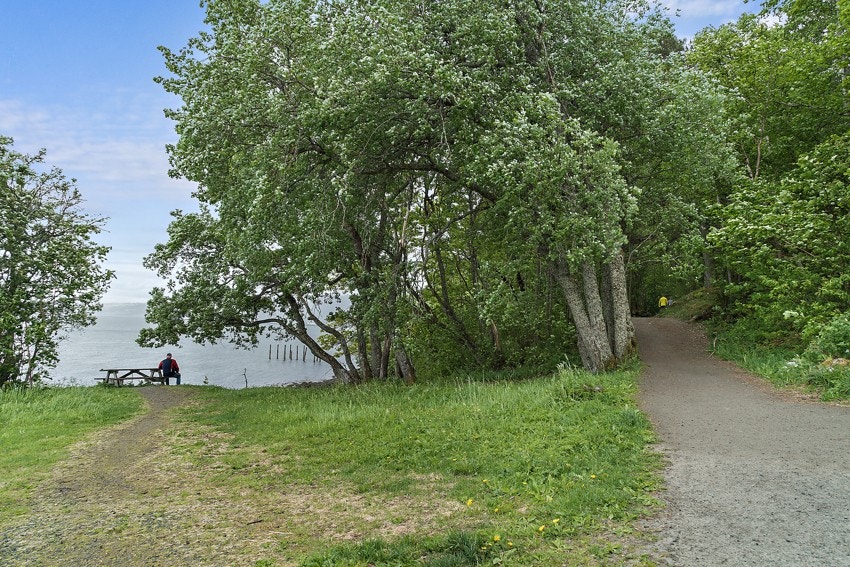 Ladestien strekker seg 8 km fra Ladehammeren til Rotvollfjæra. Galleribilde