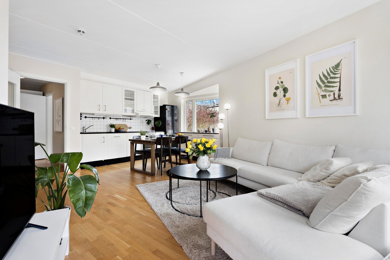 En lys og koselig stue, med nymalte vegger og pent gulv Galleribilde