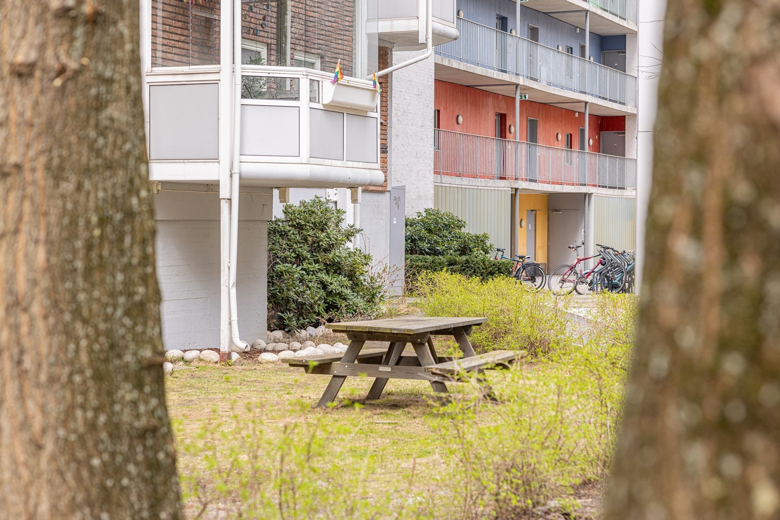 Fellesområder Galleribilde