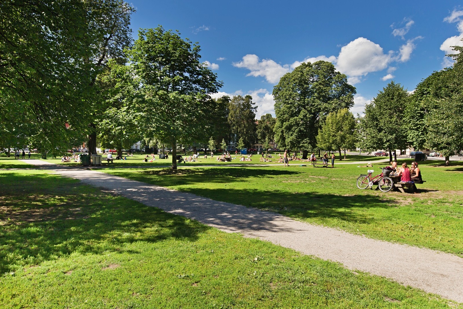 Sofienbergparken er en av mange nærliggende parker. Galleribilde
