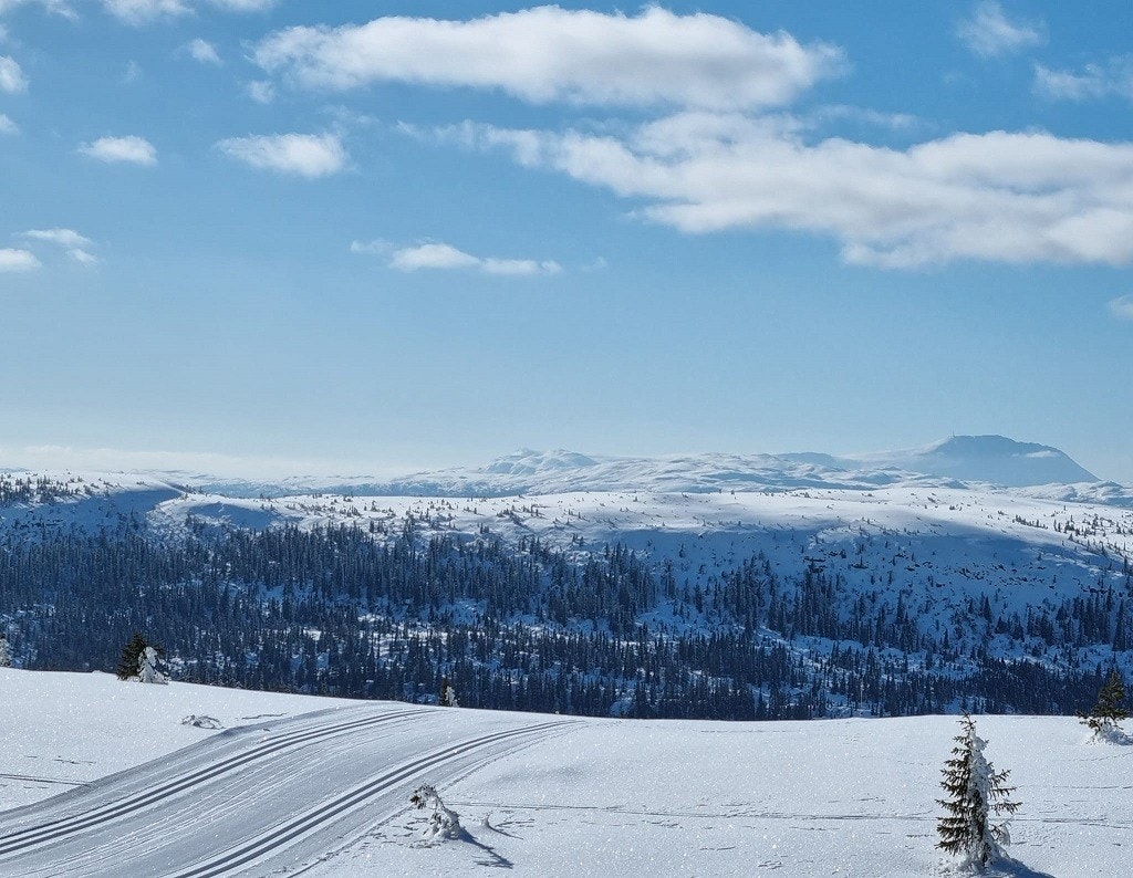 Flotte skiløyper vinteren igjennom. Galleribilde