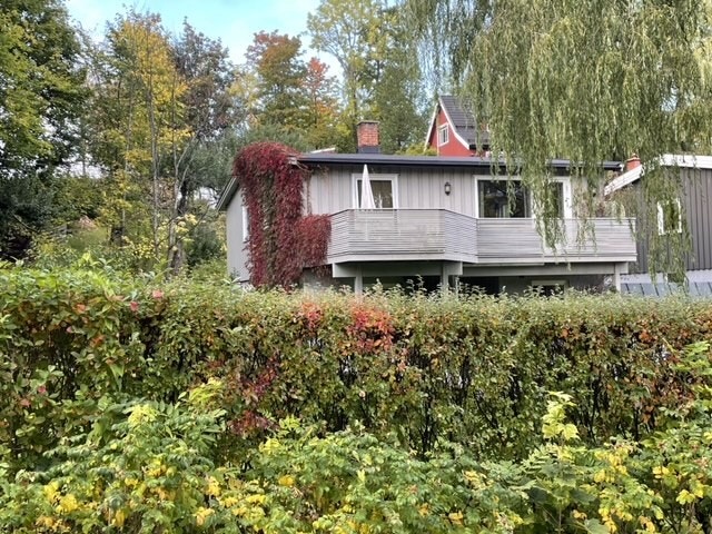 Selgers private bilder sommerstid Galleribilde