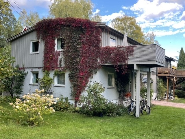 Selgers private bilder sommerstid Galleribilde