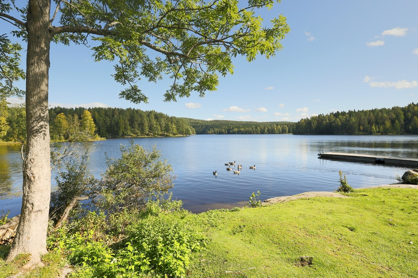 Kort vei til marka med fantastiske tur og bademuligheter. Galleribilde