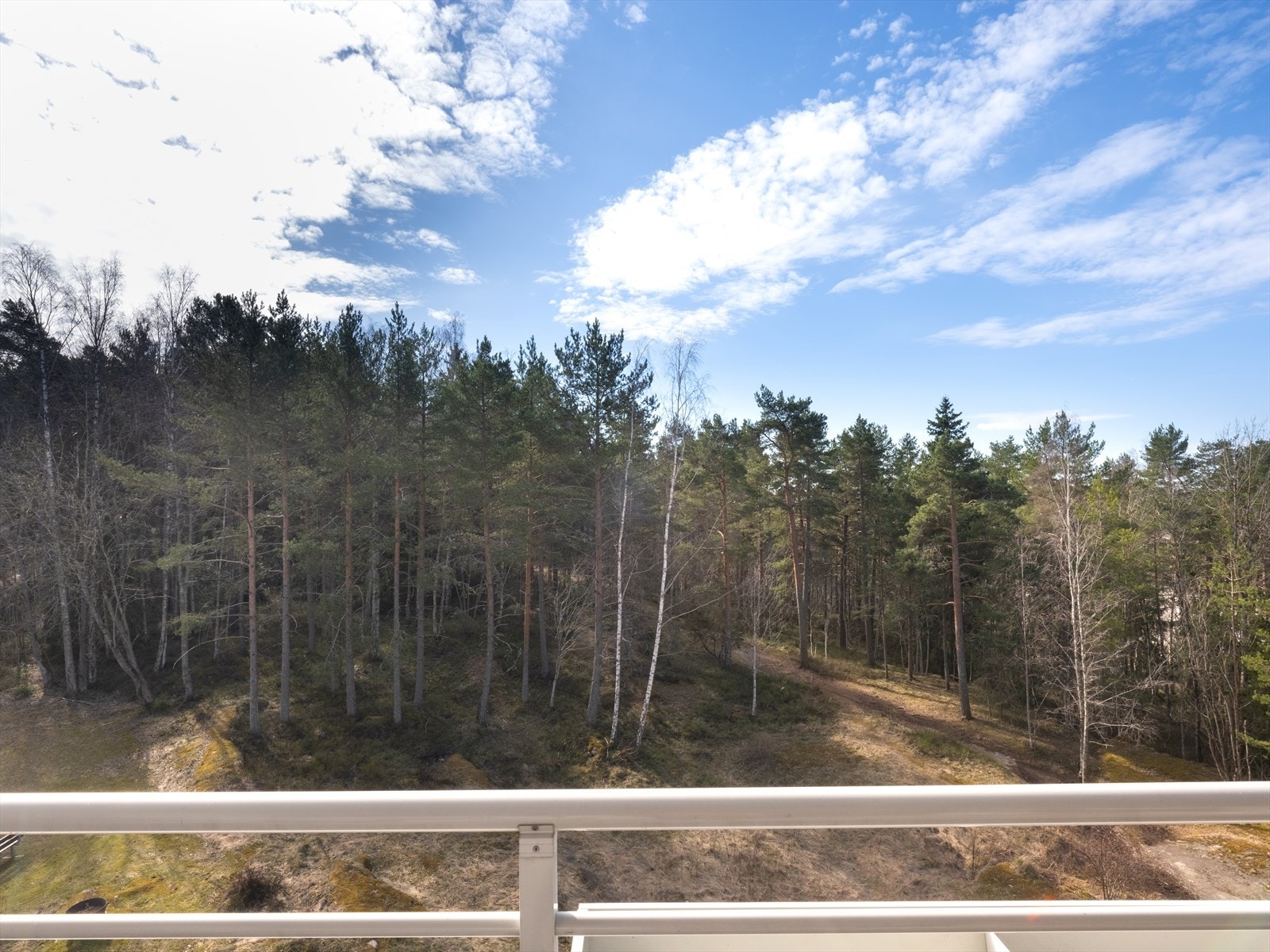 Luftig utsikt mot skogen og fellesarealer Galleribilde