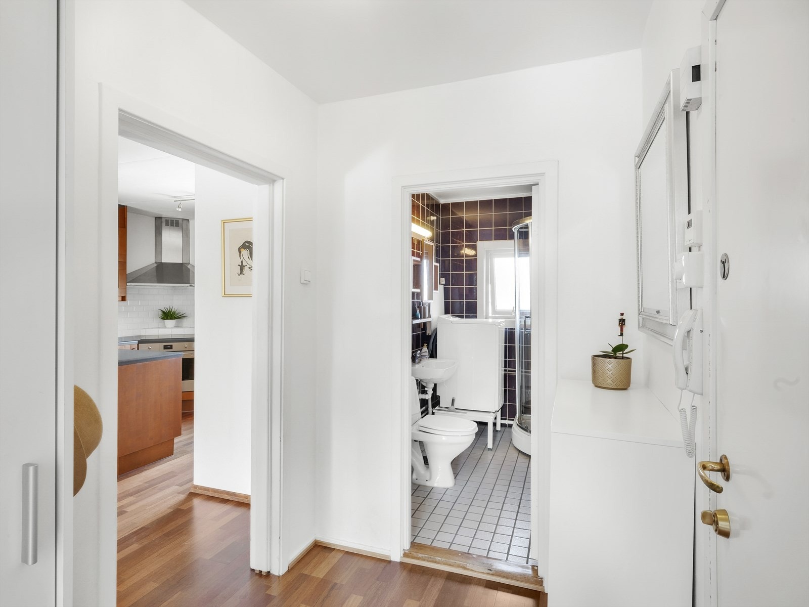 Entré med parkett på gulv, malte vegger og malt tak. Det er montert garderobeskap samt calling anlegg med døråpner som man kan enkelt slippe inn gjester. Galleribilde