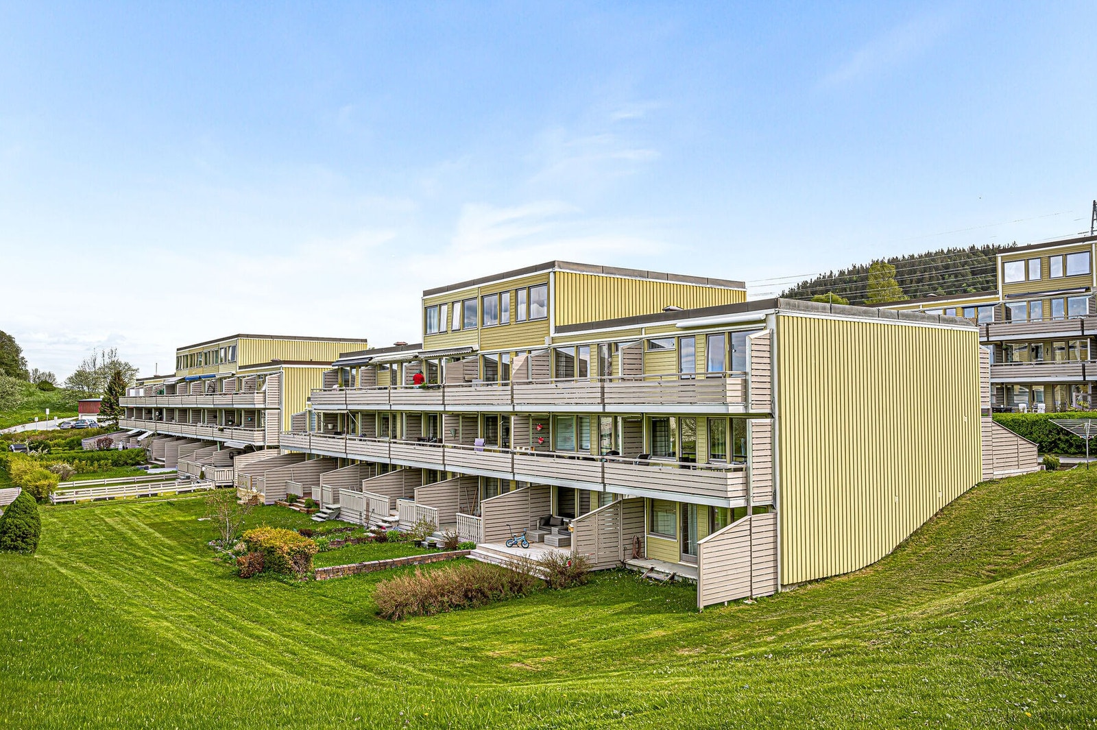 Fasade. Sommerbilde av rekka. Galleribilde