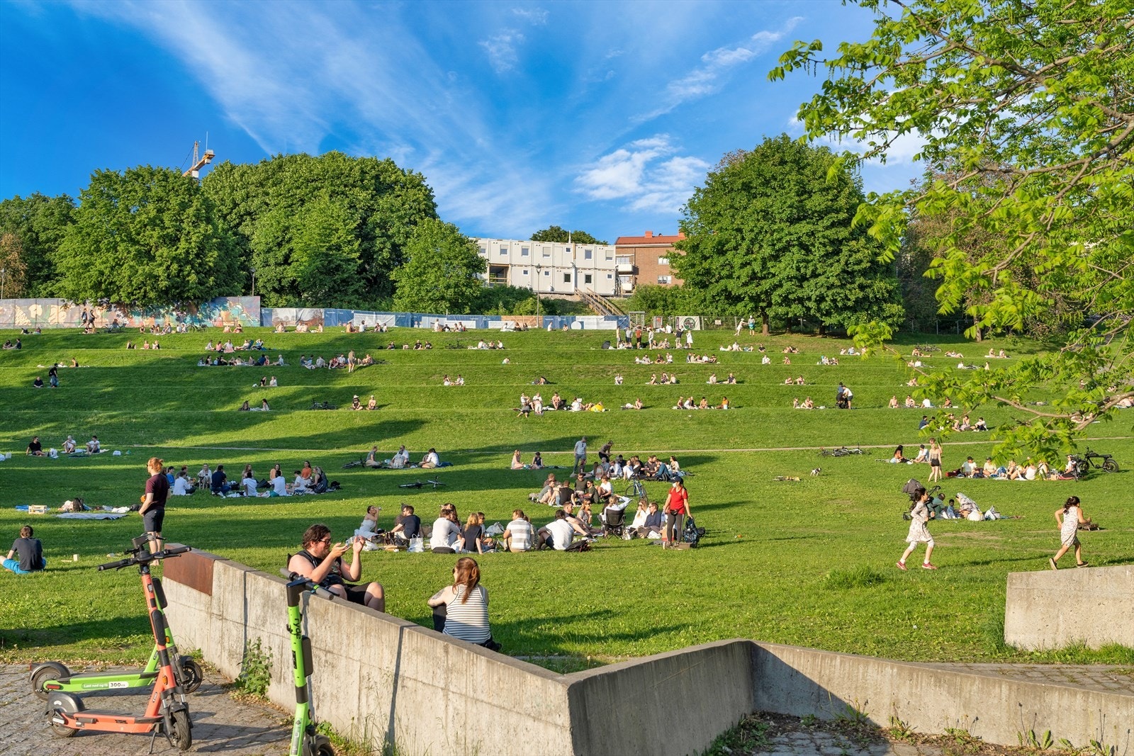 Tøyenparken er kjent for store parkområder og om vinteren akebakker samt ikke minst det store badeanlegget som straks er ferdig! Galleribilde