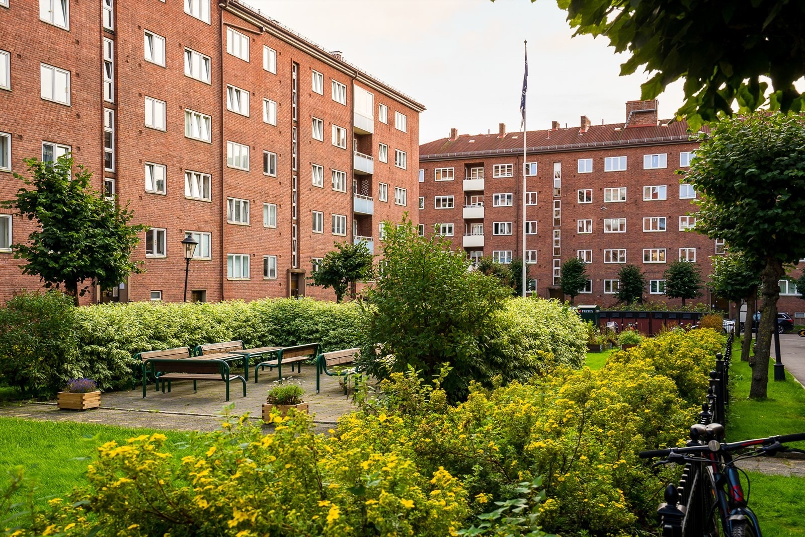Borettslaget har flere hageparseller med bær, salater og krydderplanter. Galleribilde