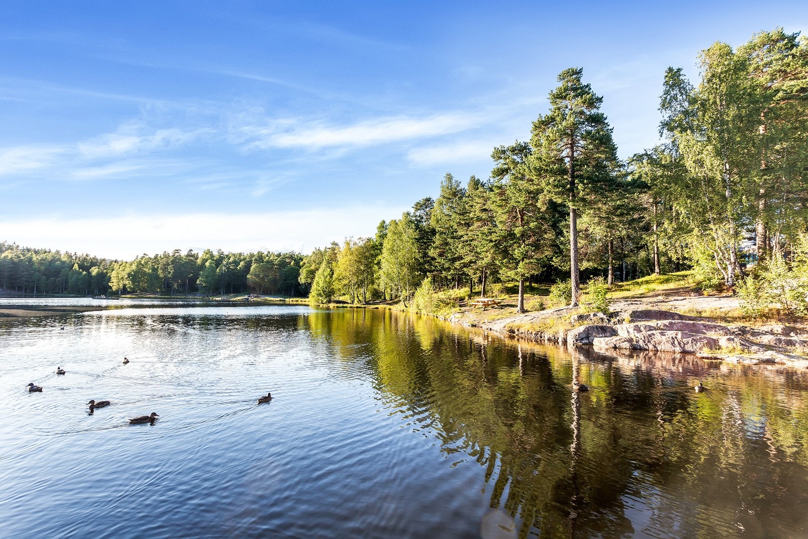 Videre på Grorud kan du nyte alt nærområdet har å by på. Galleribilde