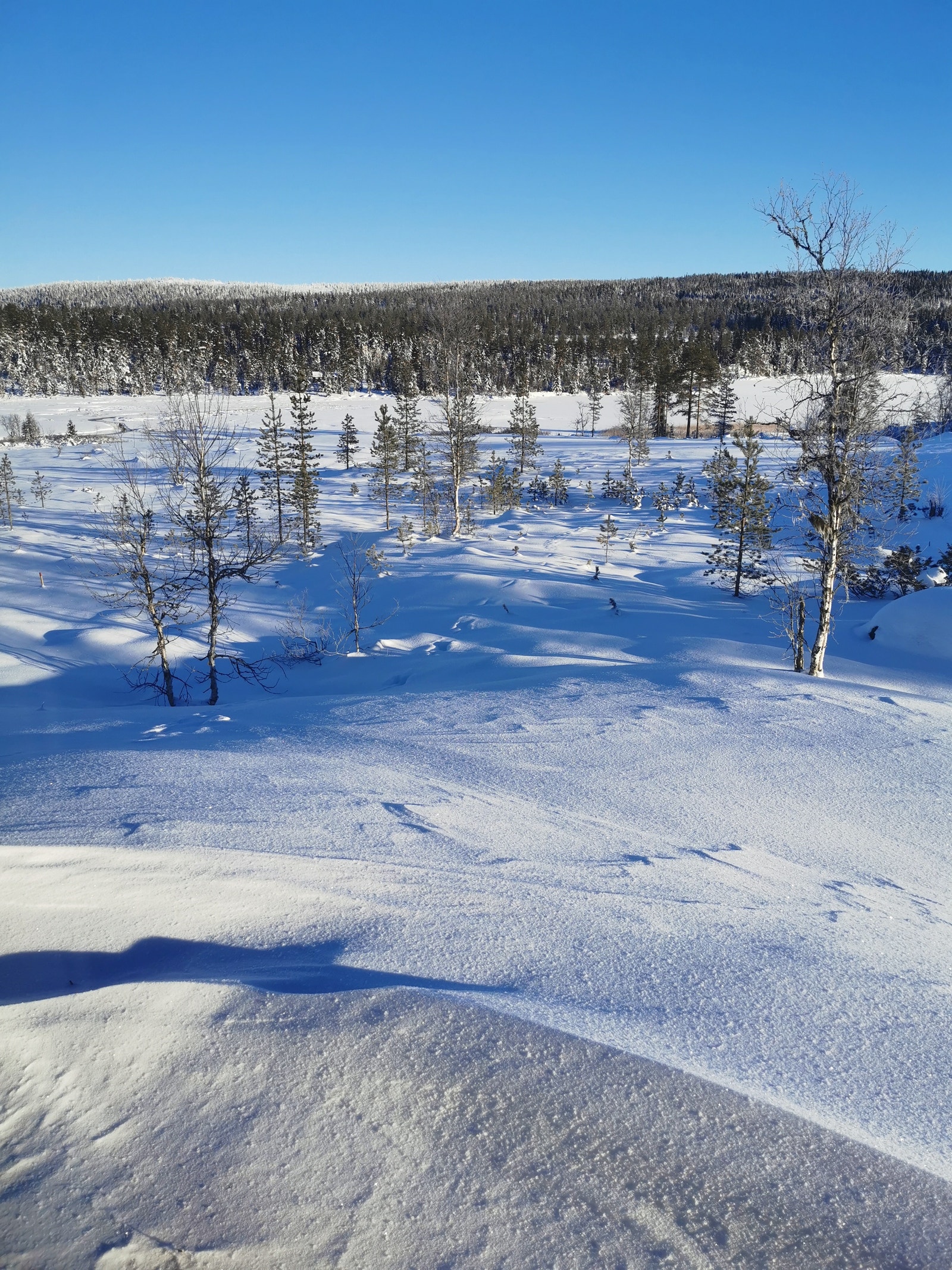 utsikt fra soverom Galleribilde