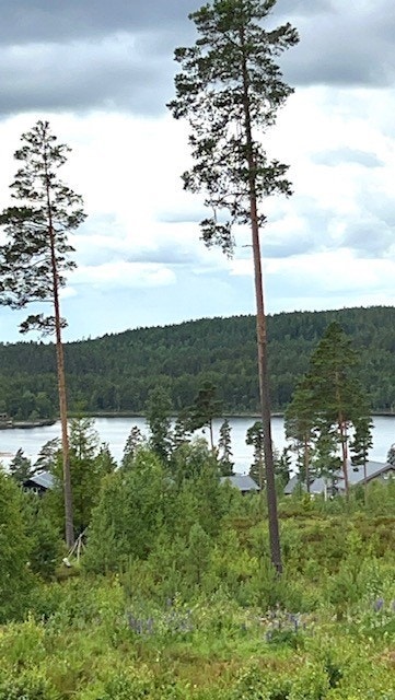 Utsikt (stående på tomten og tatt med mobilkamera) utover Vortungen Galleribilde