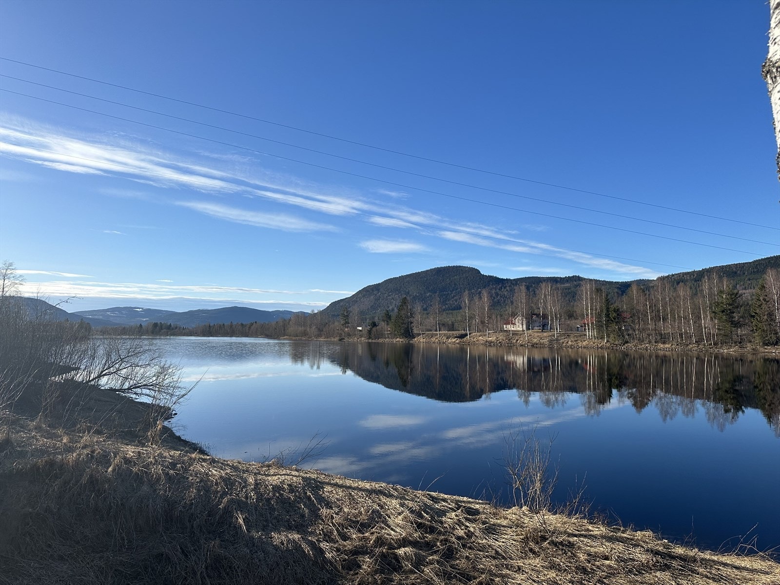 Oversiktsbilde. Galleribilde