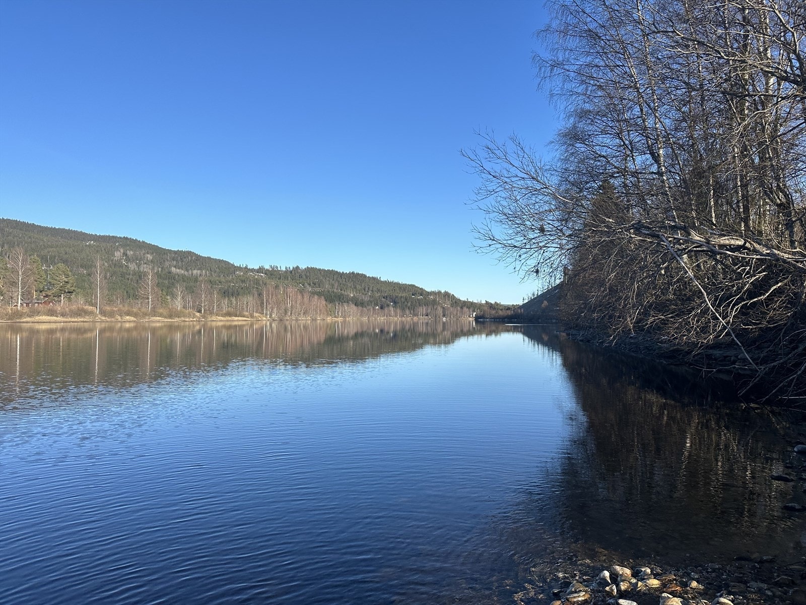 Strandlinjen. Galleribilde