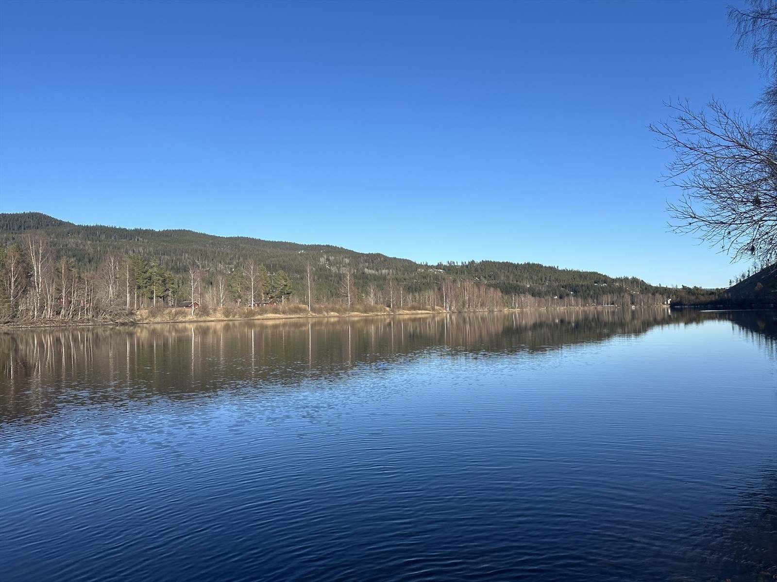 Stemningsbilde. Galleribilde