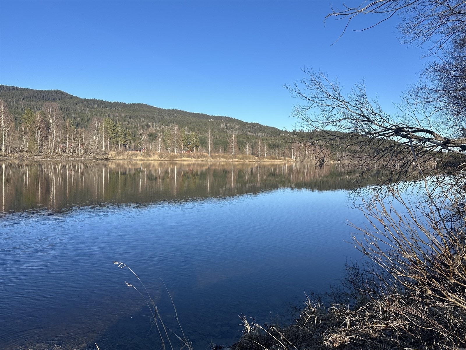 Strandlinjen og Glomma. Galleribilde