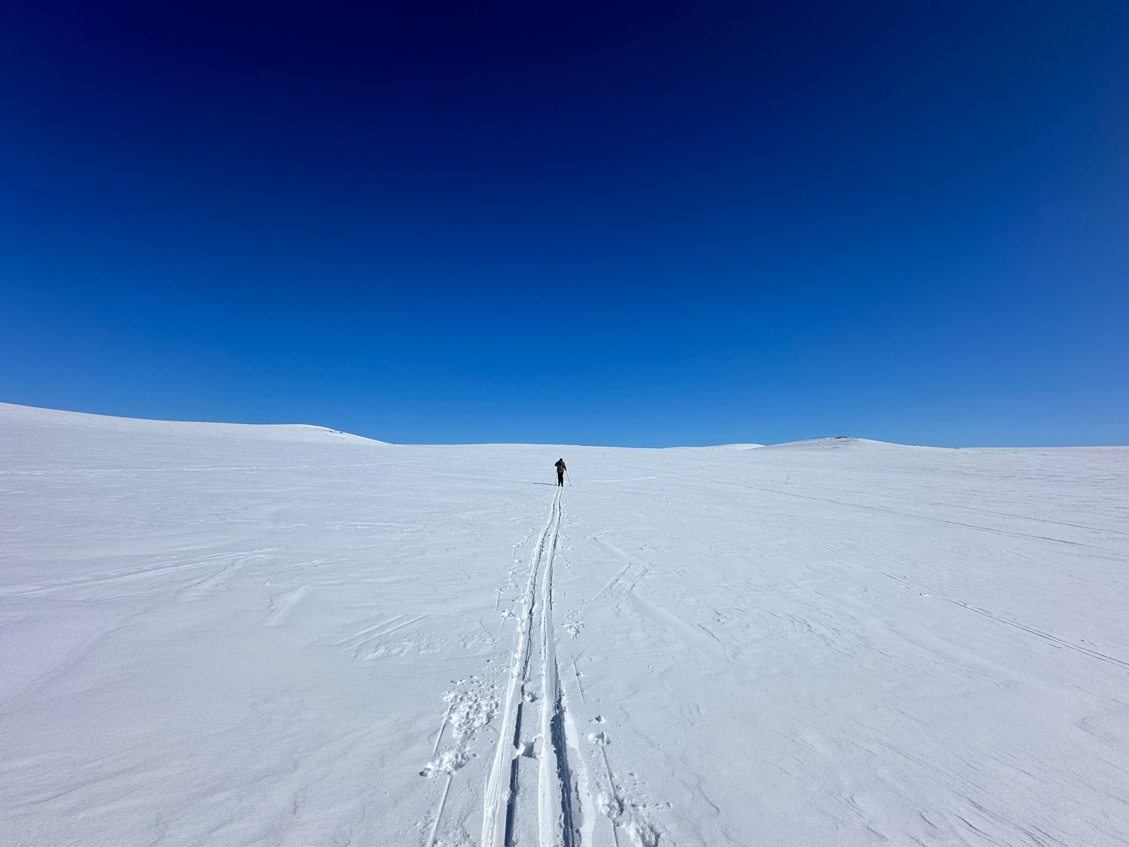 Fra Maursetparken har du kort vei til de herligste turer på Hardangervidda Galleribilde
