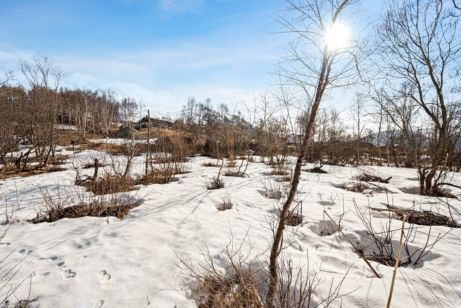 Boliger skal oppføres med maksimal mønehøyde på 8,0 meter, og høyde på grunnmuren må ikke overstige 0,8 meter. Galleribilde