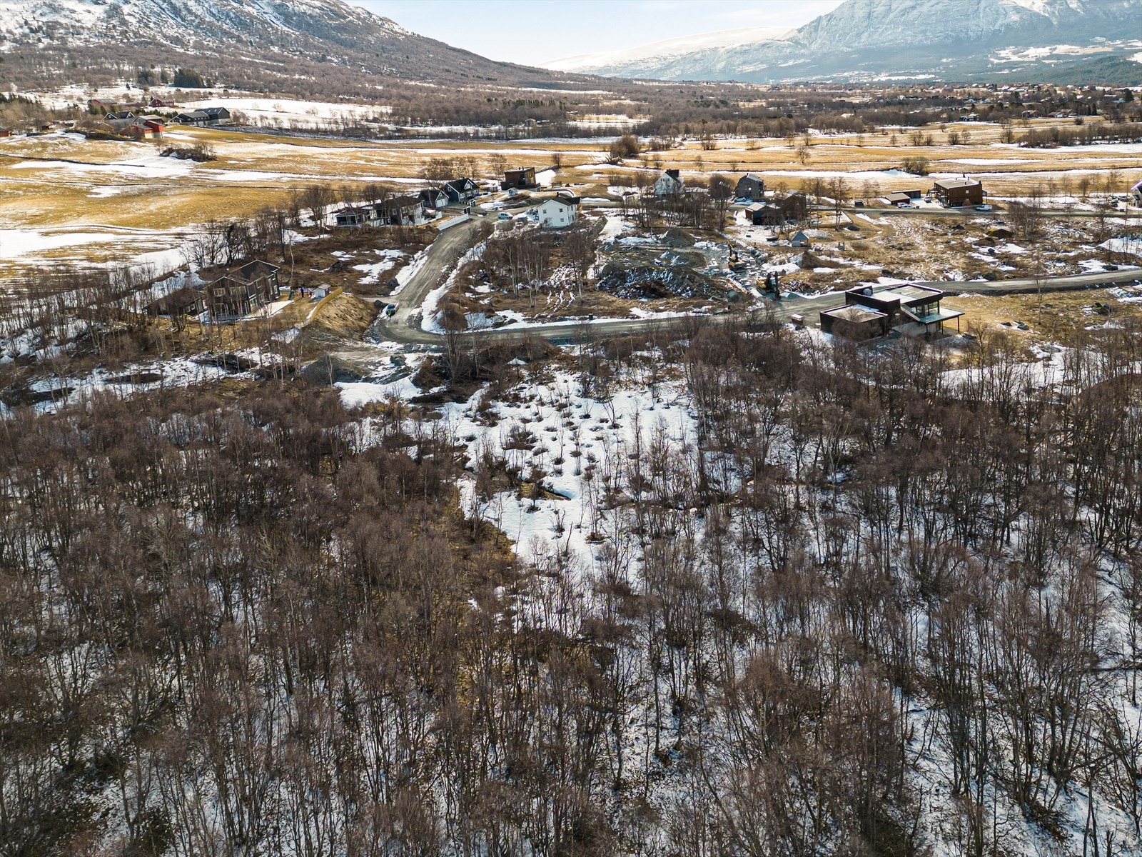 Rett ved eiendommen er det mulighet for flotte naturopplevelser både i skogen og på fjellet. Galleribilde