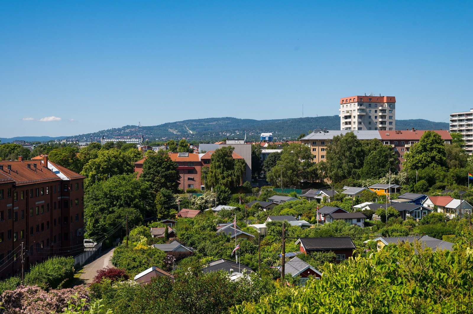 Rodeløkkens kolonihager. Galleribilde
