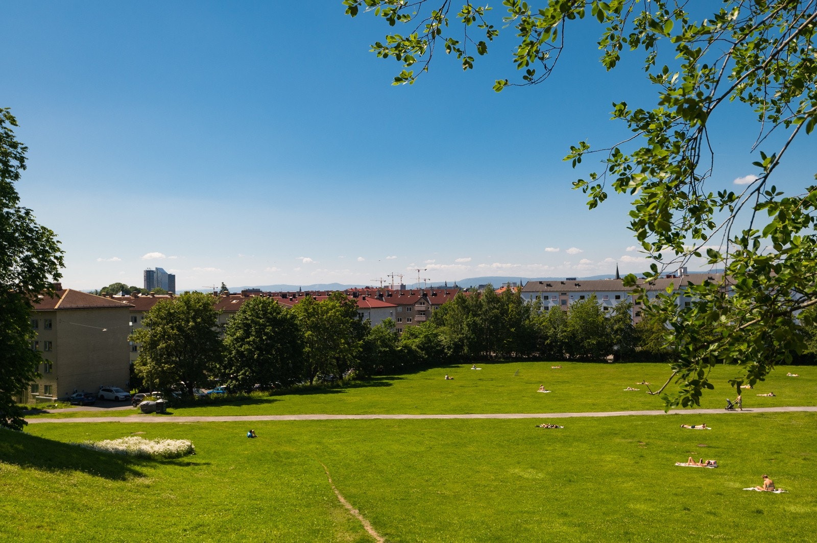 Nesten rett utenfor døren finner du idyllsike Ola Narr som benyttes som akebakke, til soling, grilling eller annen lek og aktivitet. Galleribilde