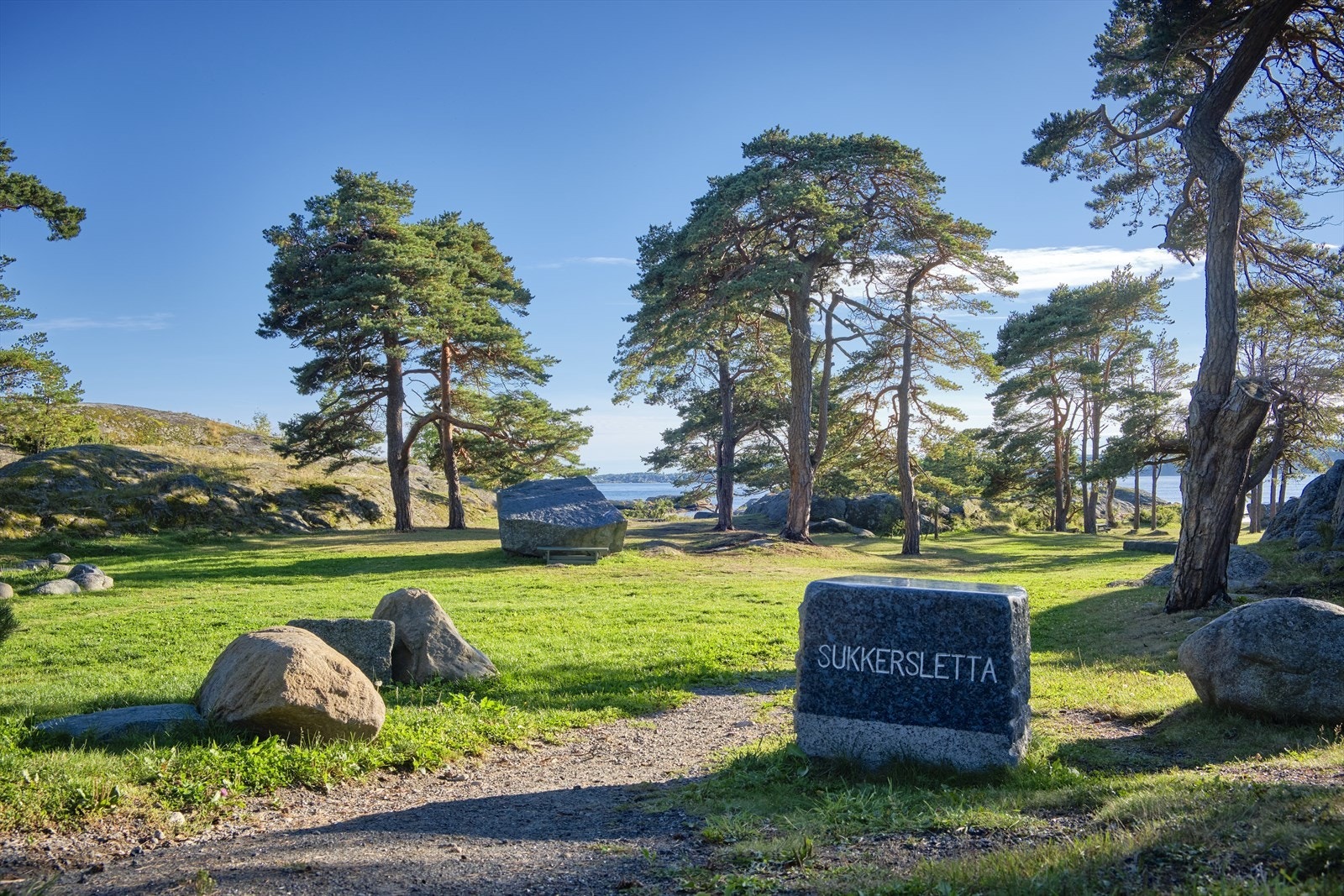 Sukkersletta Galleribilde