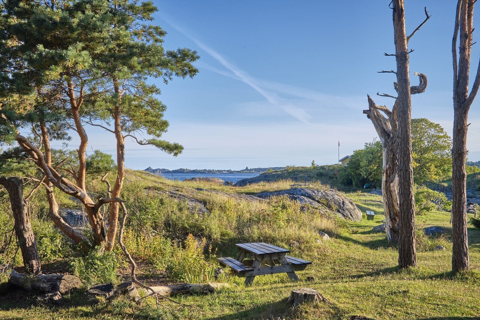Nærområde Sukkersletta Galleribilde