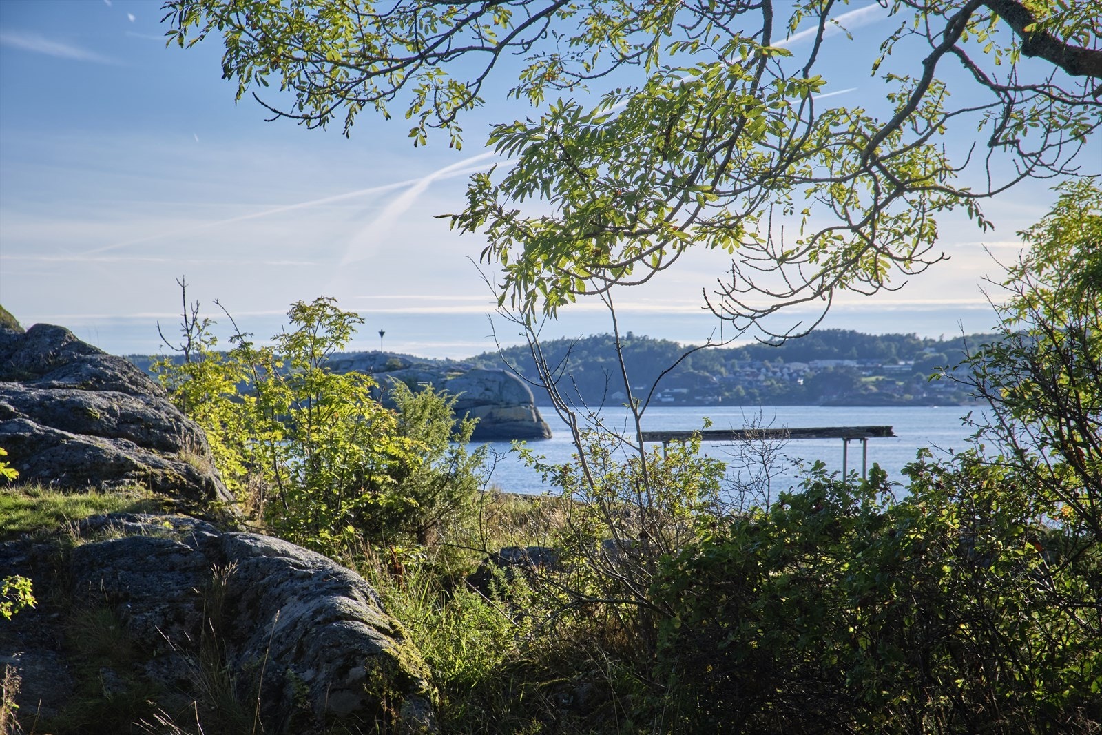 Nærområde Hvittensand Galleribilde