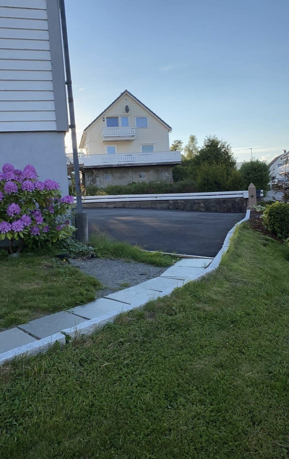 Diverse sommerbilder fra hagen Galleribilde