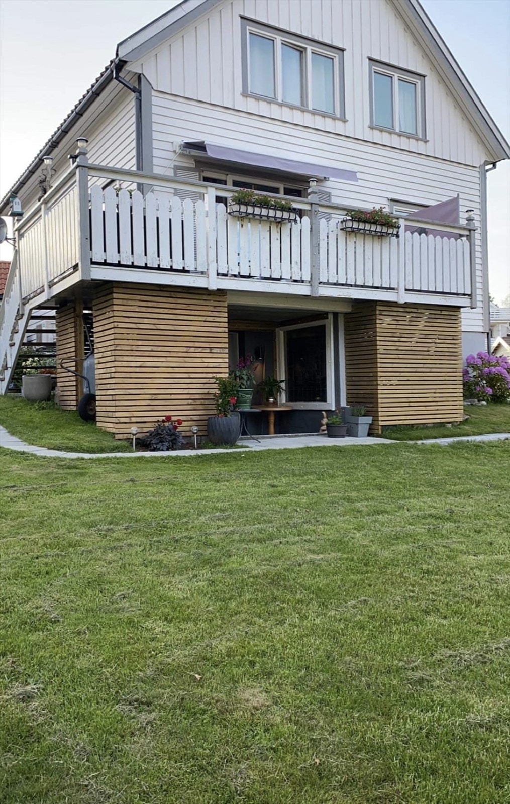 Diverse sommerbilder fra hagen Galleribilde