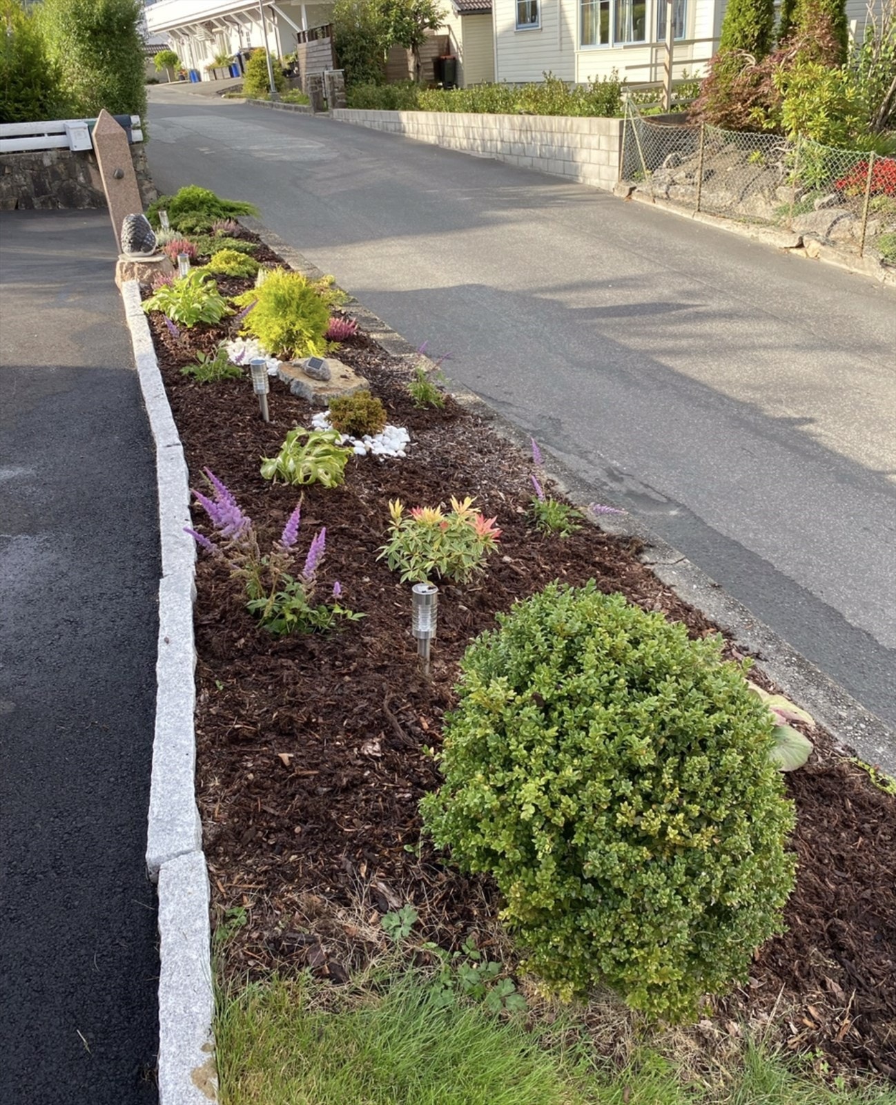 Diverse sommerbilder Galleribilde