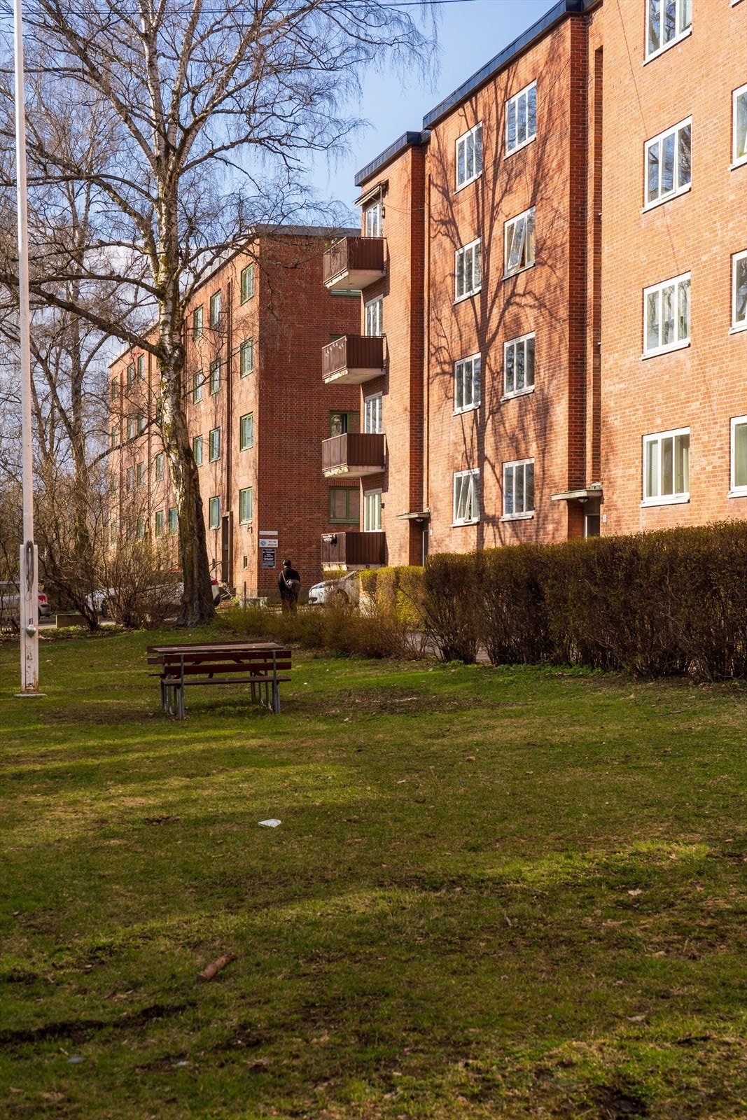 De frodige fellesområdene er pent opparbeidet med plen og beplantning. Galleribilde