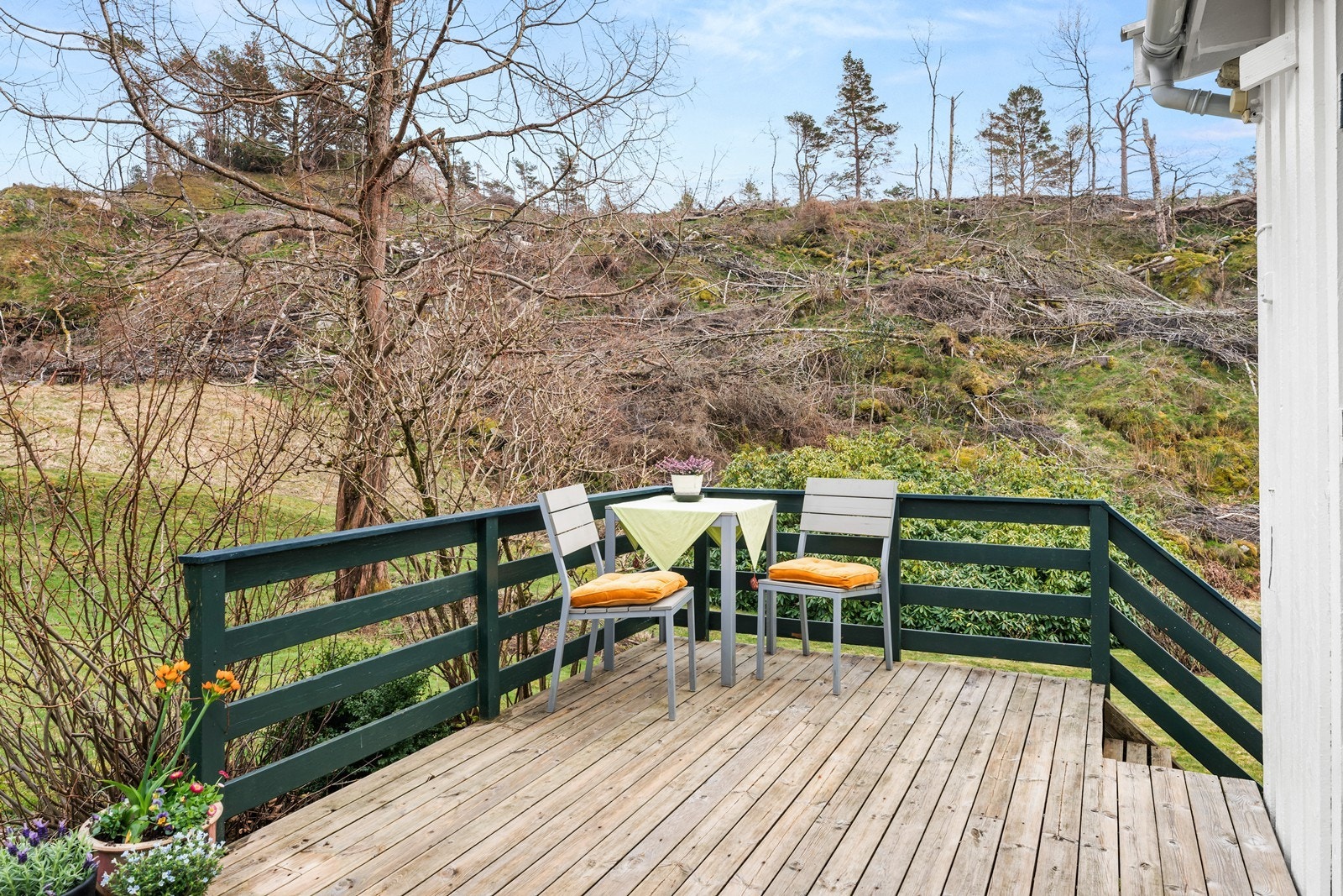 Østvendt terrasse med sol fra tidlig morgen Galleribilde