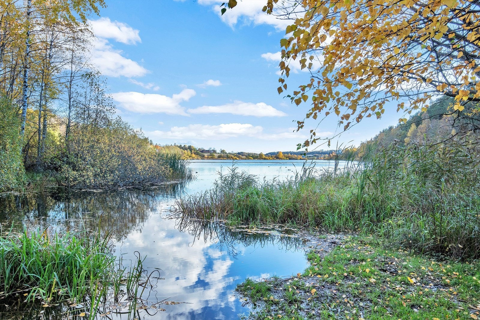 Kort avstand til Østensjøvannet med fine turstier og et rikt dyreliv. Galleribilde