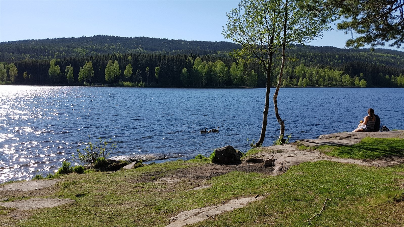 Sognsvann ligger faktisk i din egen bakgård Galleribilde