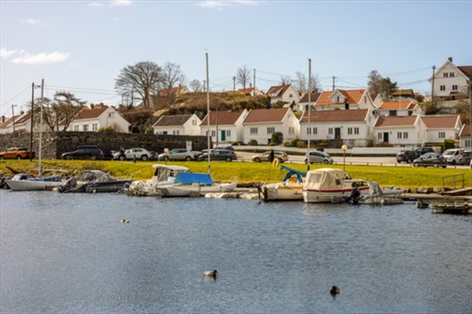 Sjarmerende Alvøen Galleribilde