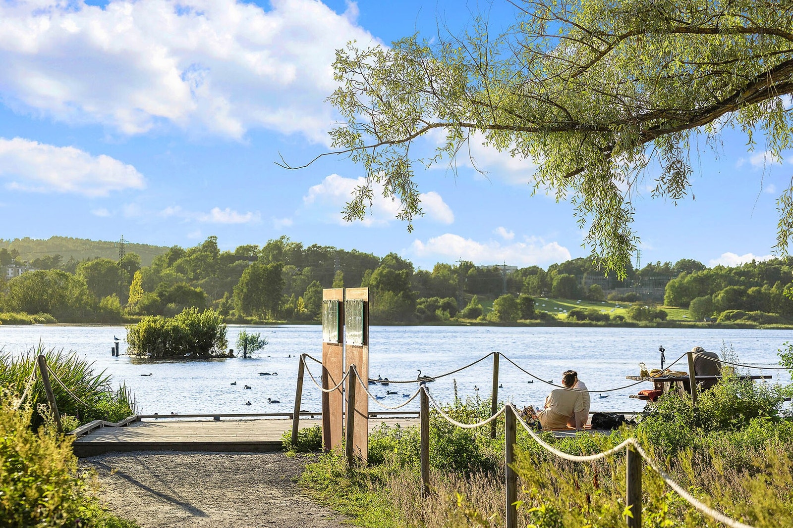 Idylliske Østensjøvannet er også bare en gåtur unna med sitt yrende fugleliv. Galleribilde