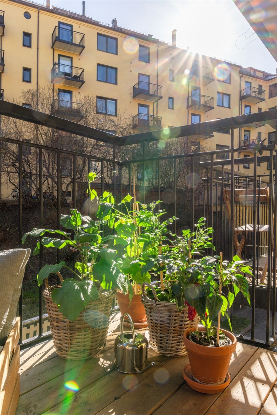 Her trives både planter og mennesker. Du får morgensolen på balkongen, slik at du kan nyte dagens første kaffekopp ute. Galleribilde