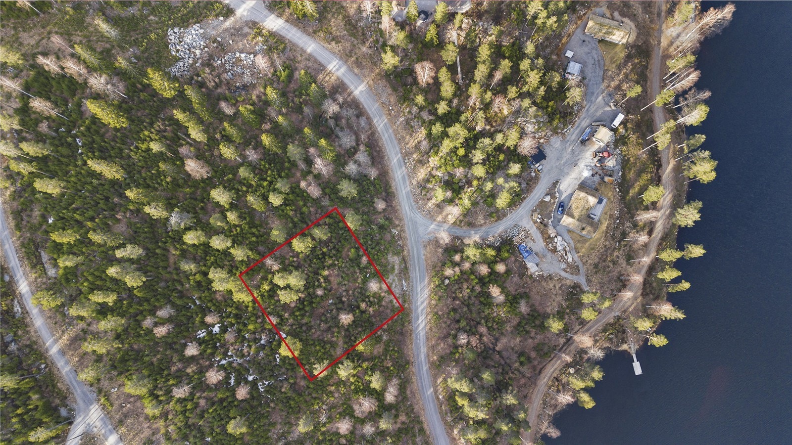 Velkommen til Kanalskogen 52! Galleribilde